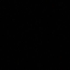 Meet your Posher, Jana